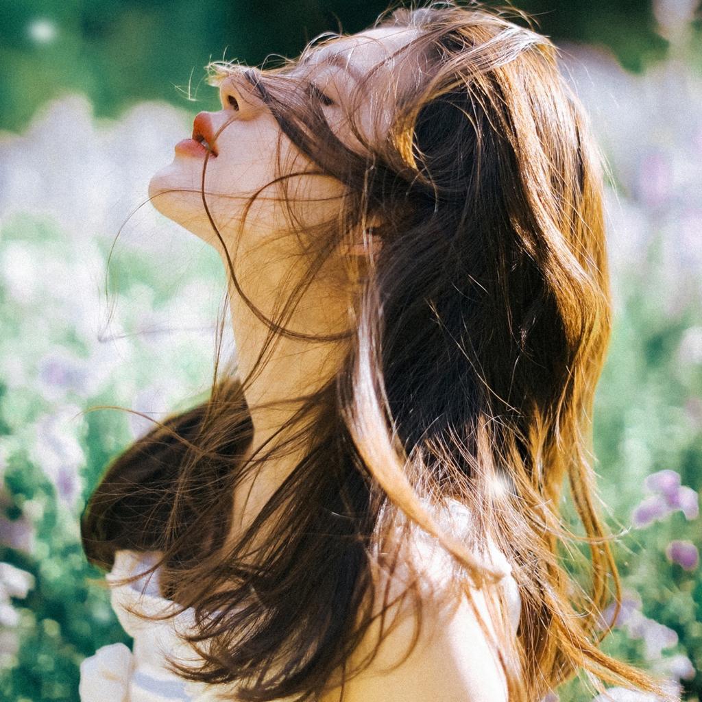 51网网址导航｜51漫画官网更新｜51爆料与51视频网站在线观看平台